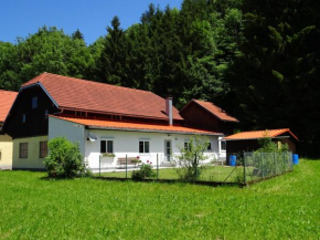 Гостиница Haus im Grünen - Gmundennähe, Пинсдорф